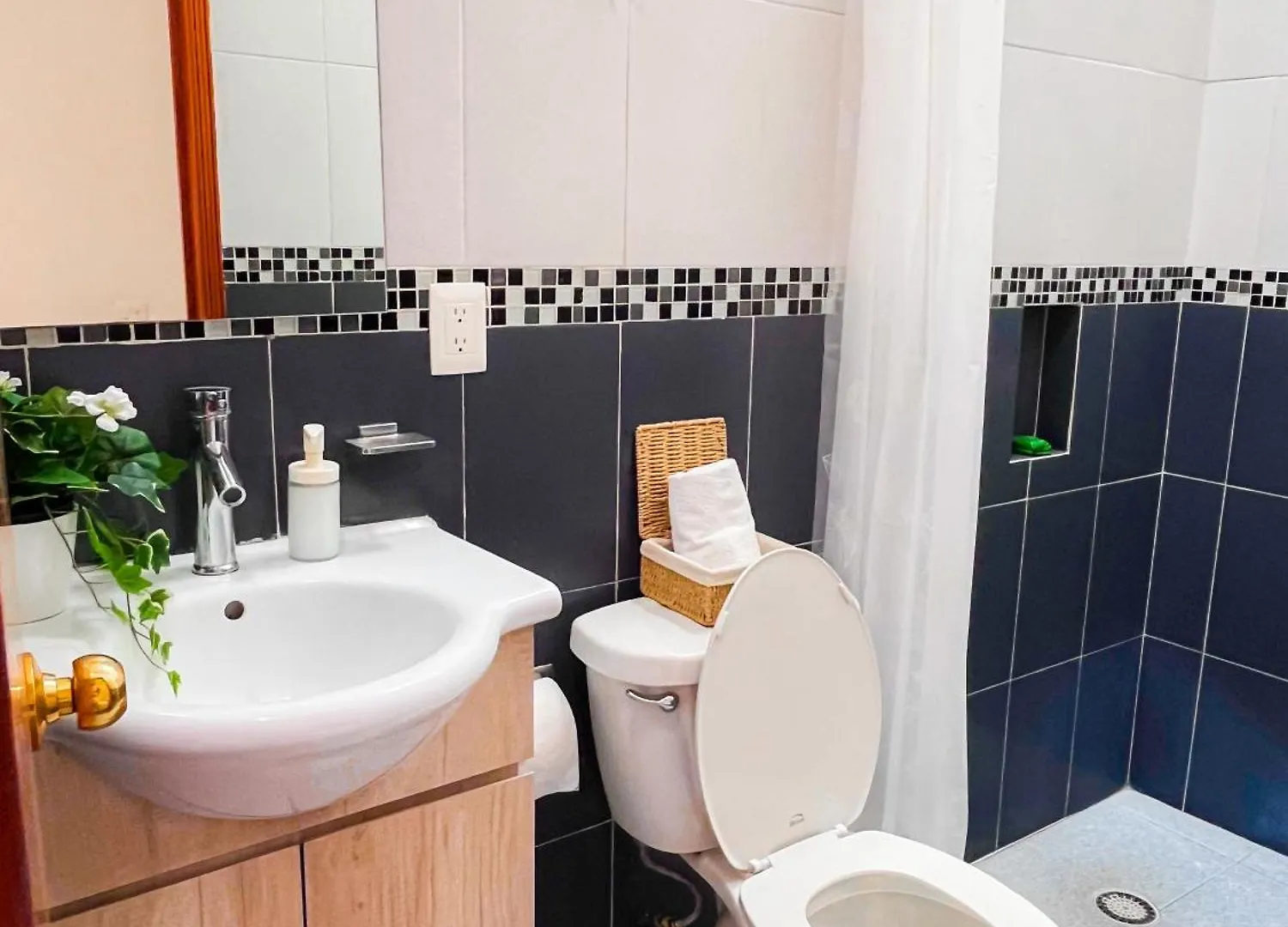 Casona Albarelo Apartment Puebla Mexico