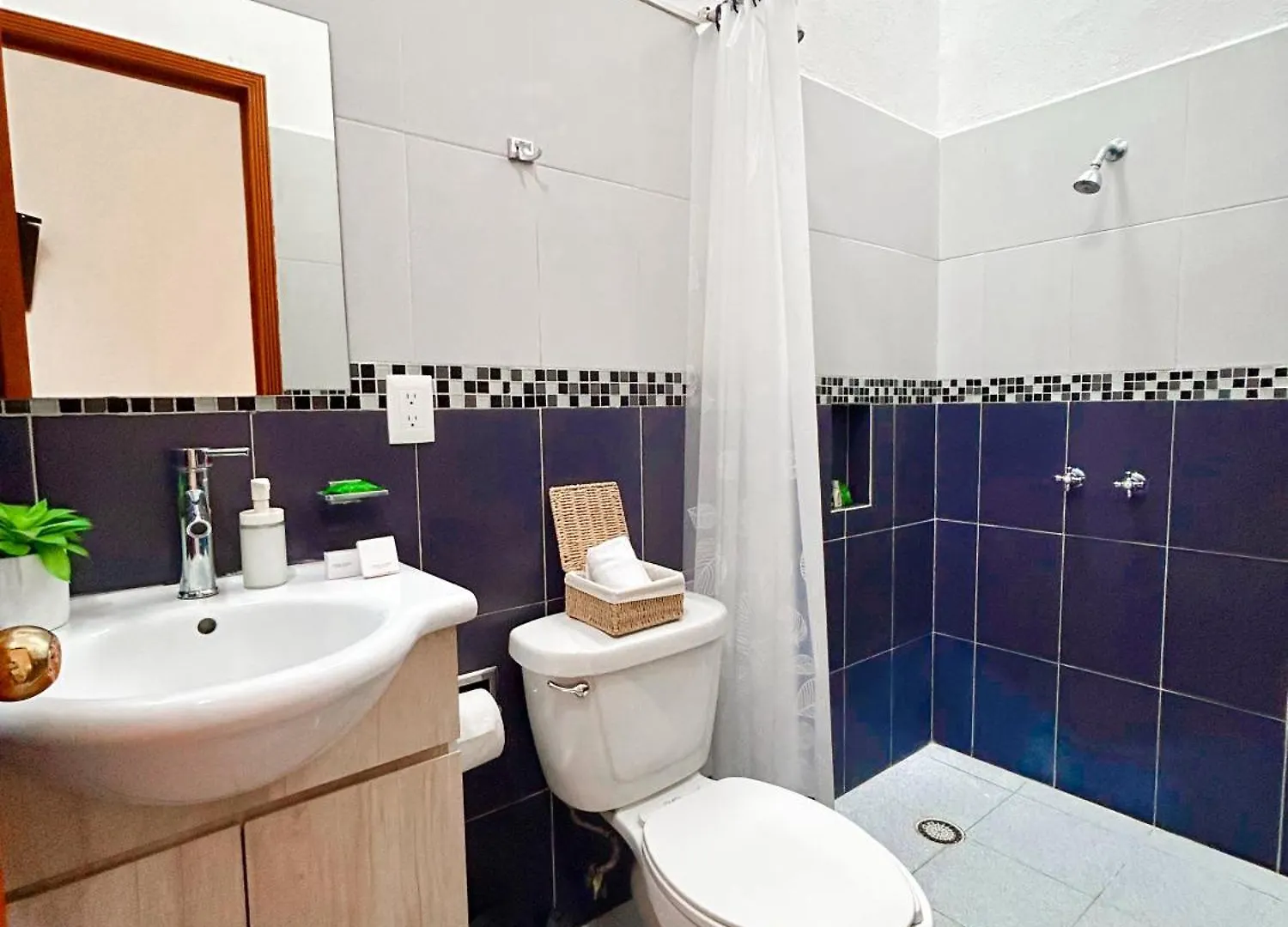 Casona Albarelo Apartment Puebla